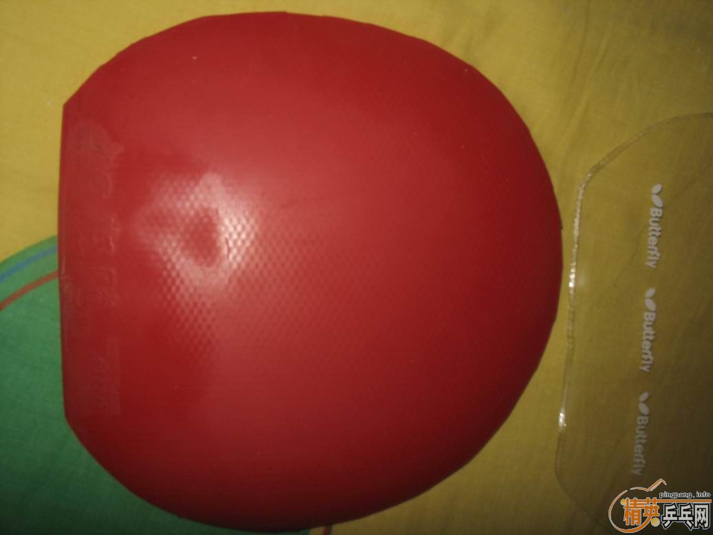 ���ѳ������ƺ��Ϻ��ϵı�������