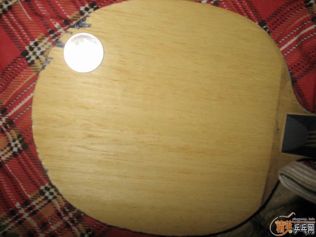 ���ѳ������ƺ��Ϻ��ϵı�������