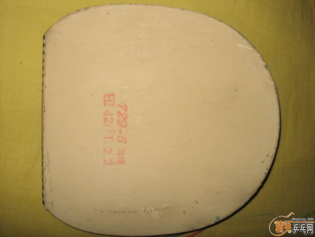 ���ѳ������ƺ��Ϻ��ϵı�������