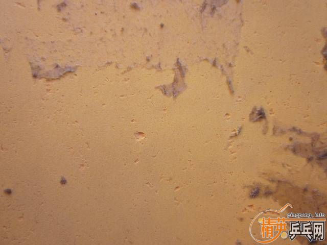 ��һЩ��Ƥ������EL��FX������ս�ĵ�---------------------------�۸�ʵ�ݣ����治��֧����