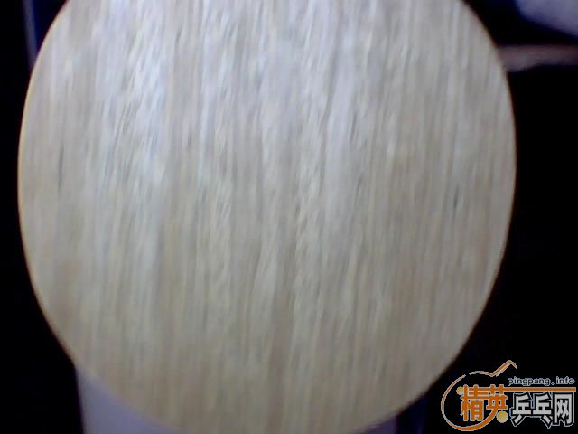 �����ƿƱ���FL����