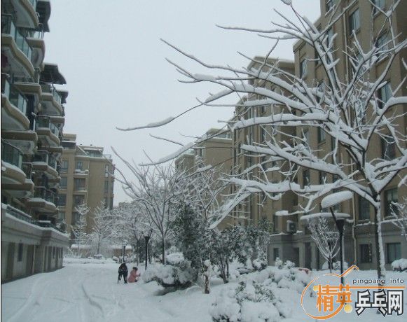 ���ѳ����˰���OC ���ٽ�һ�£�����350�����ʡ�