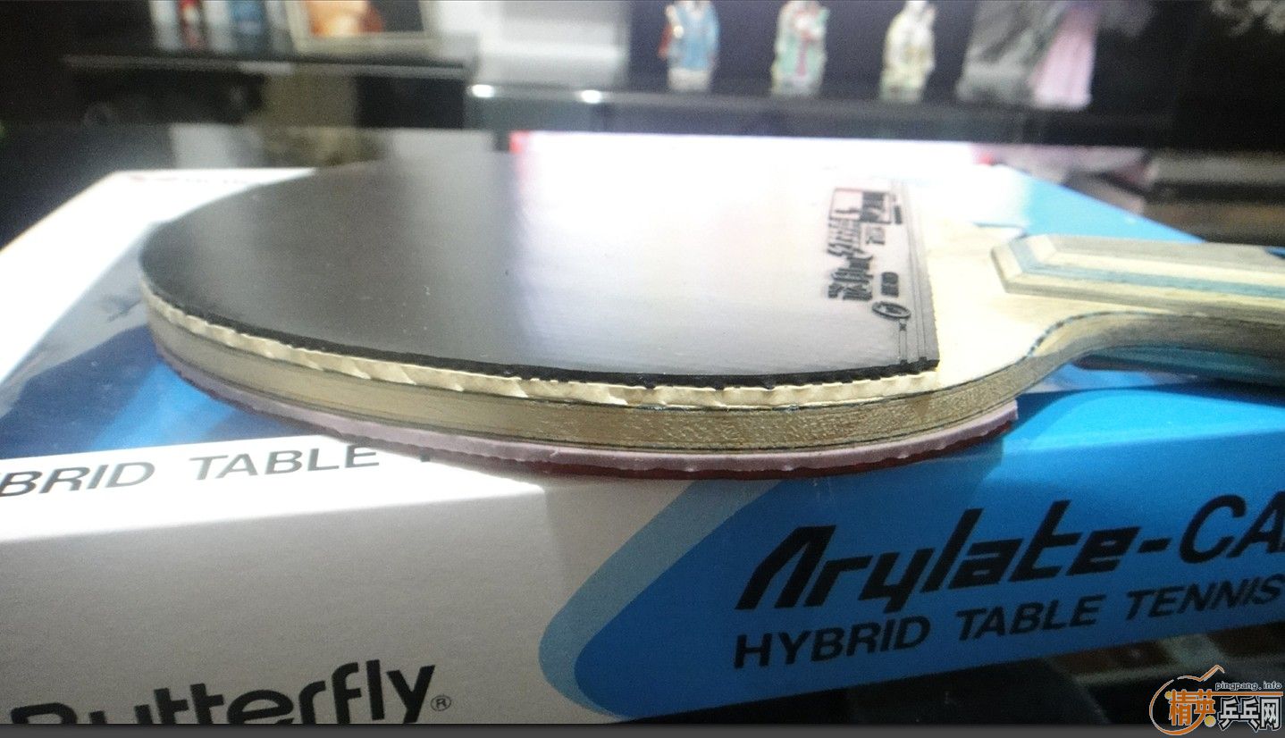 ��֧��������������û�����ˡ������µĺ�������������720����˳�ᡣ�ﶥ����500W