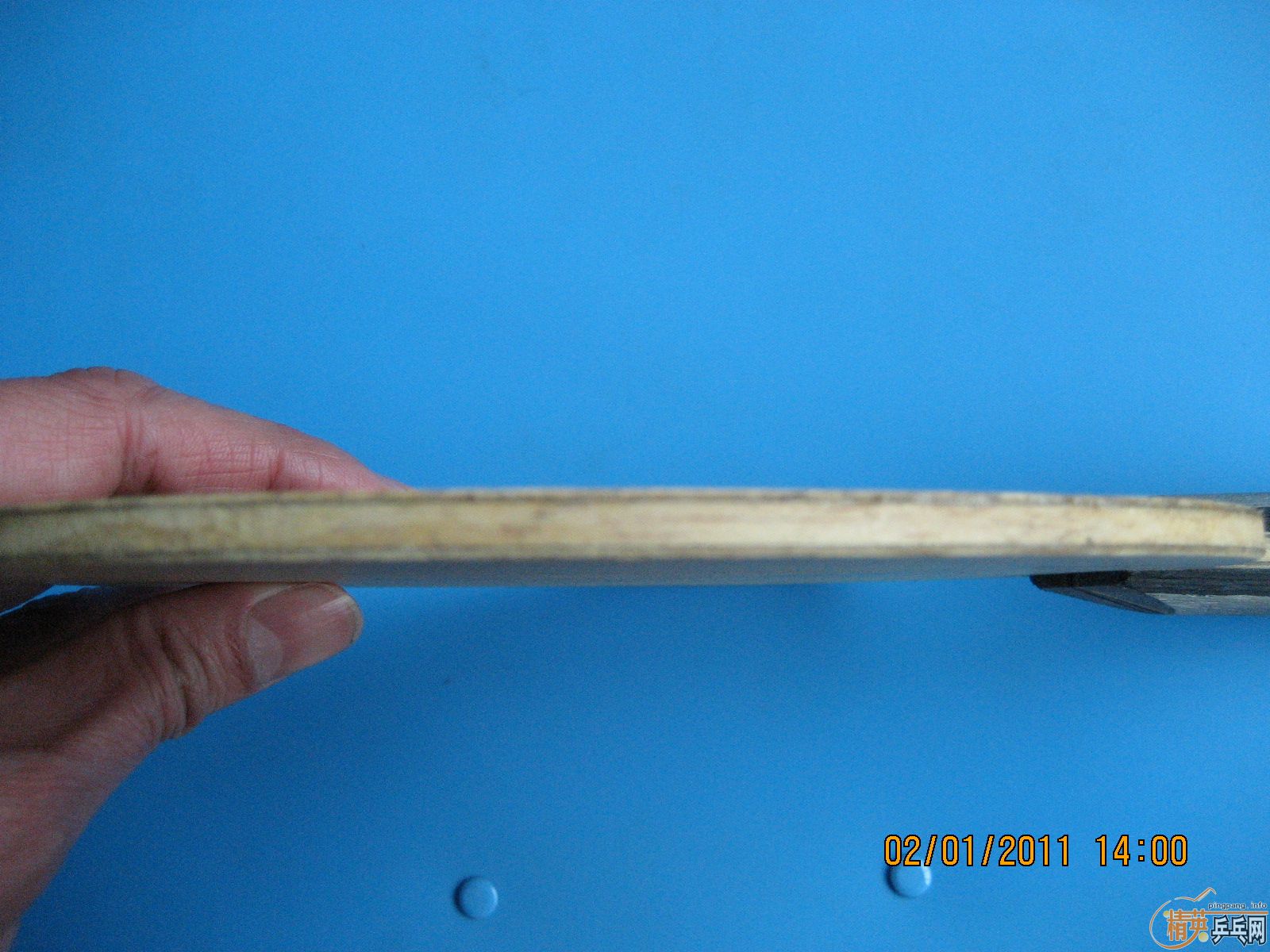 ######���������̼��һ�հ�һ���ְ棩֧��֧����######