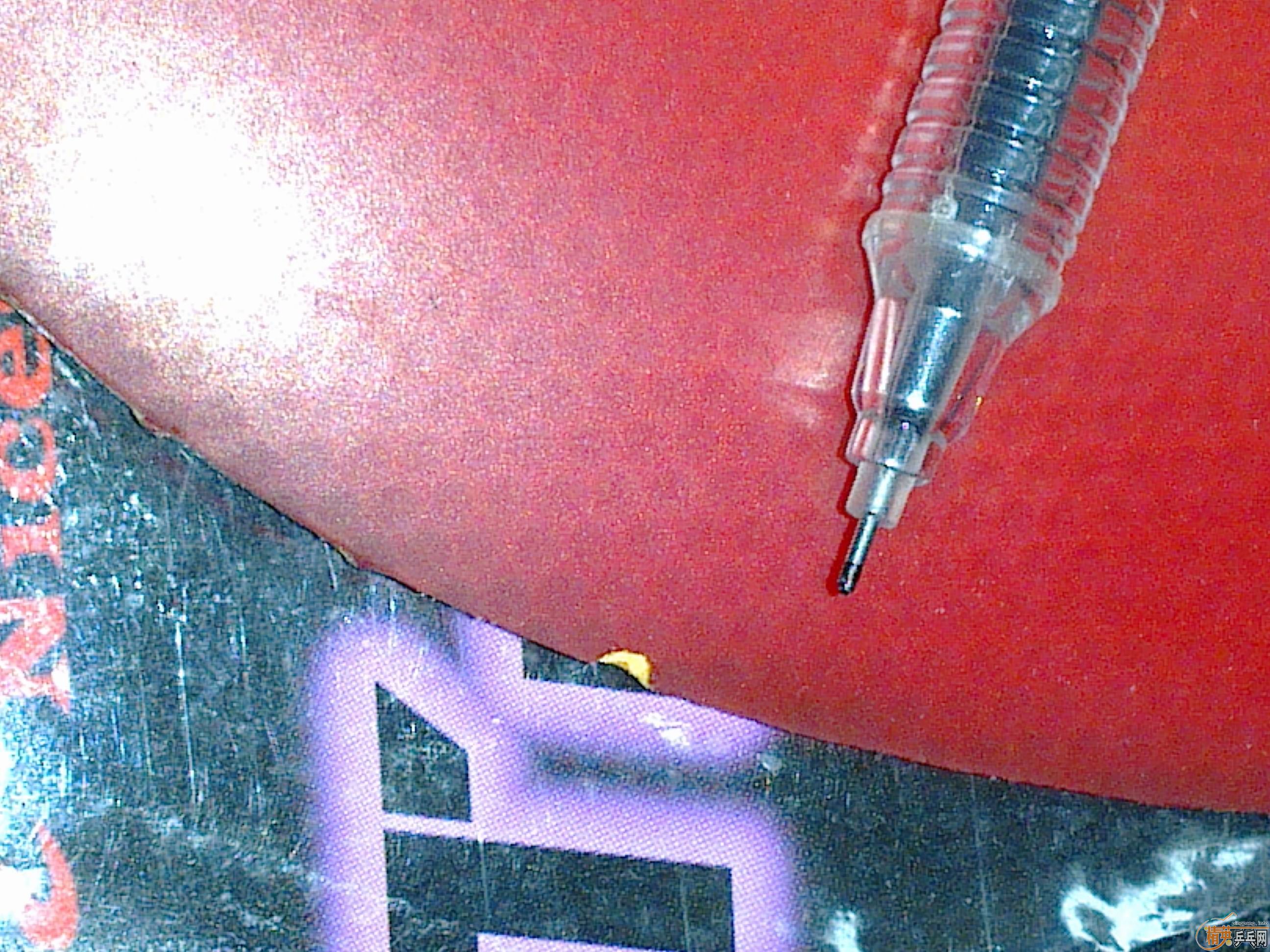 ����ɫС���� EL-MAX