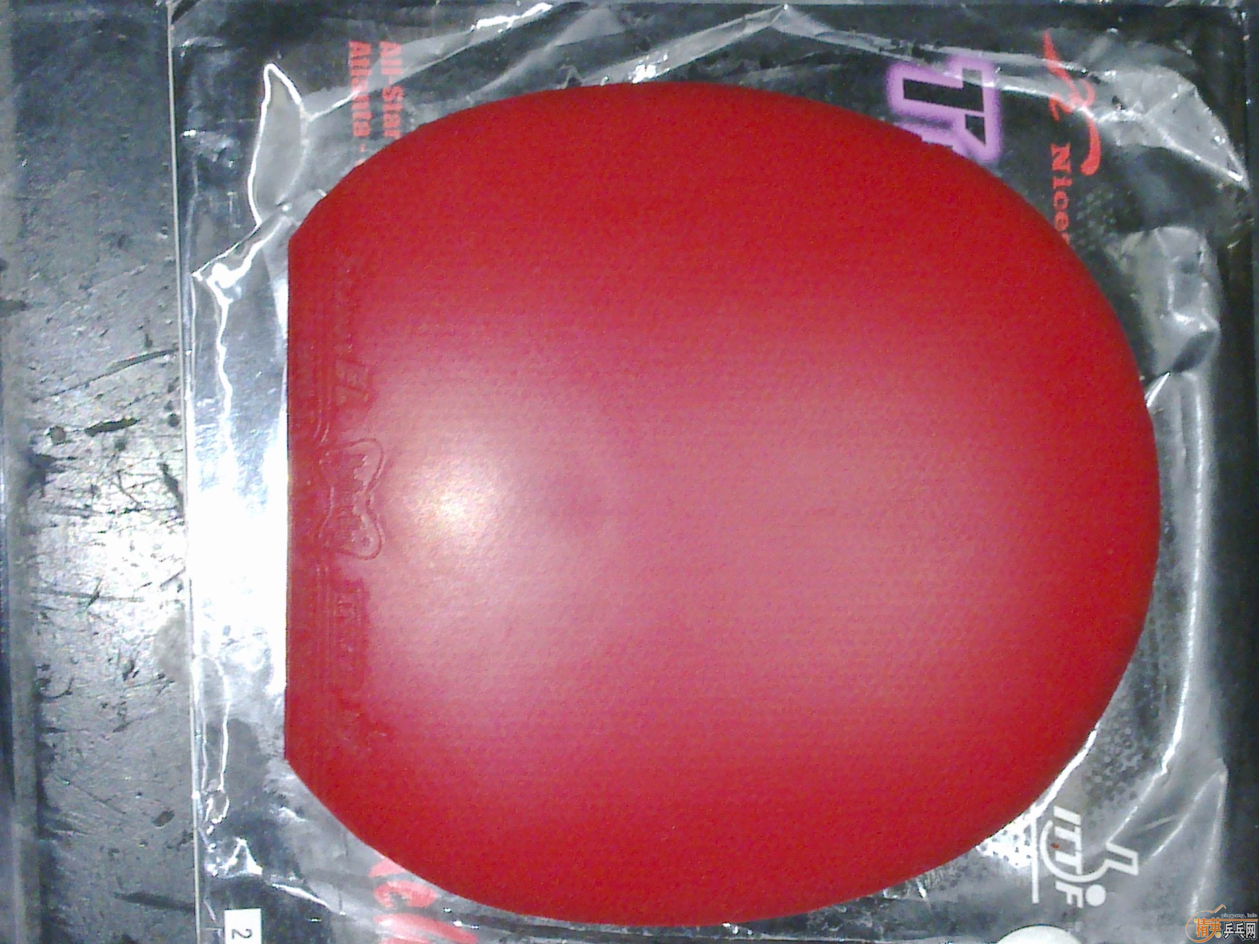 ����ɫС���� EL-MAX