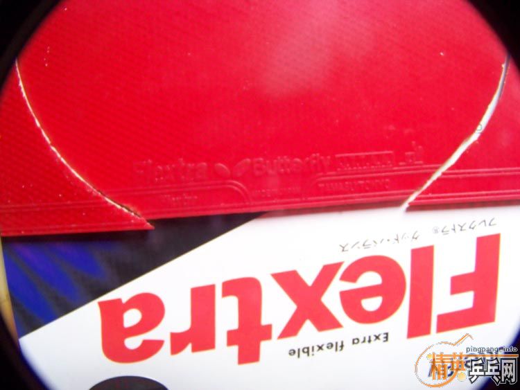 ����FL    ֱ��С�����  80��