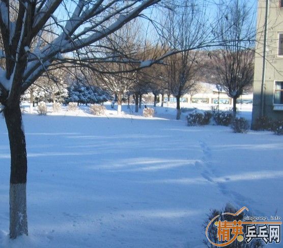 ��������Ʒ���հ溫��