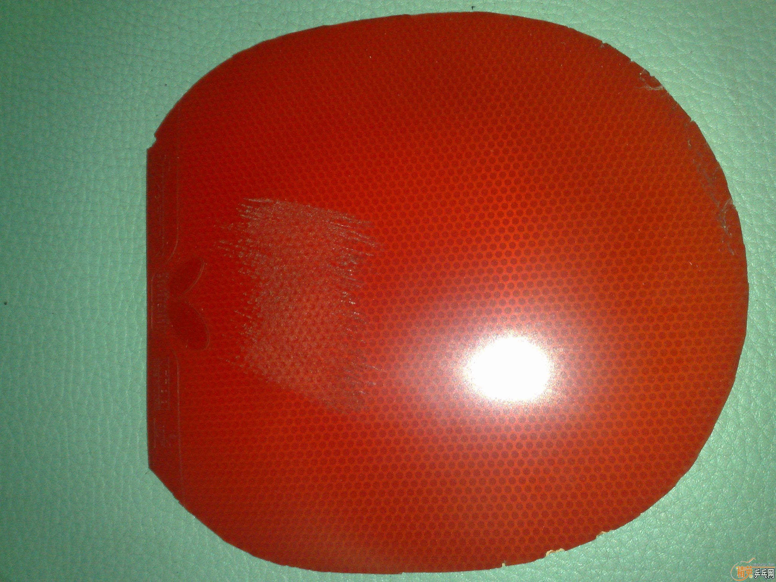 �����ˣ���������͵�һ�ѣ�����ڡ�HRT��̴ֱ�帽һЩ��Ƥ��