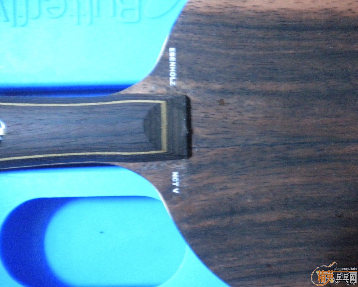 ֧�������л���5