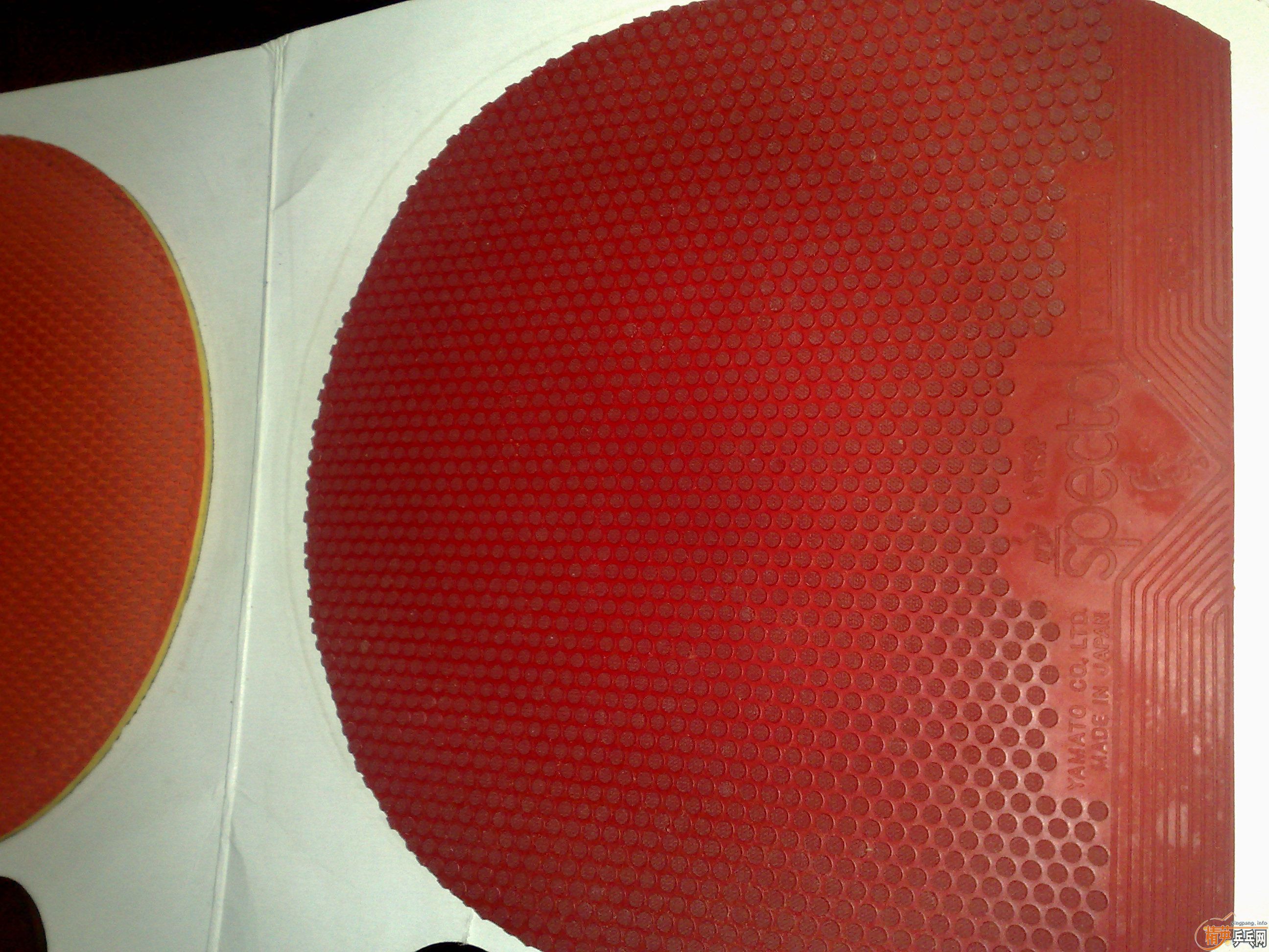 �����ˣ���������͵�һ�ѣ�����ڡ�HRT��̴ֱ�帽һЩ��Ƥ��