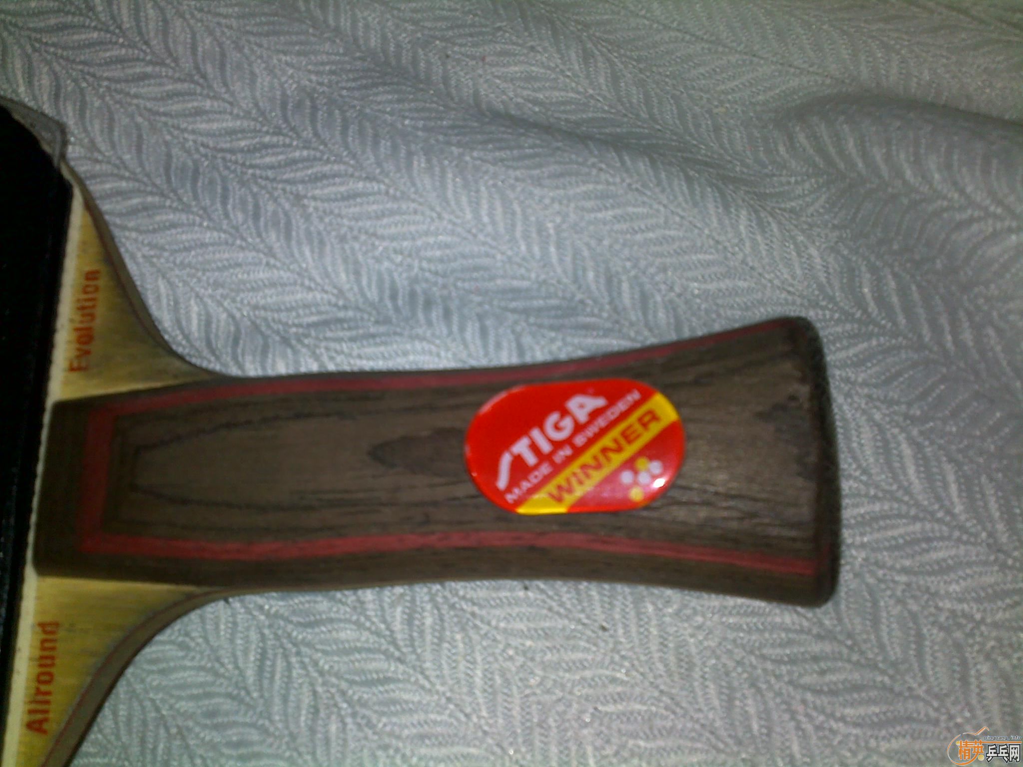 ��һ��Ƶ�AN��˹�ٿ�AE