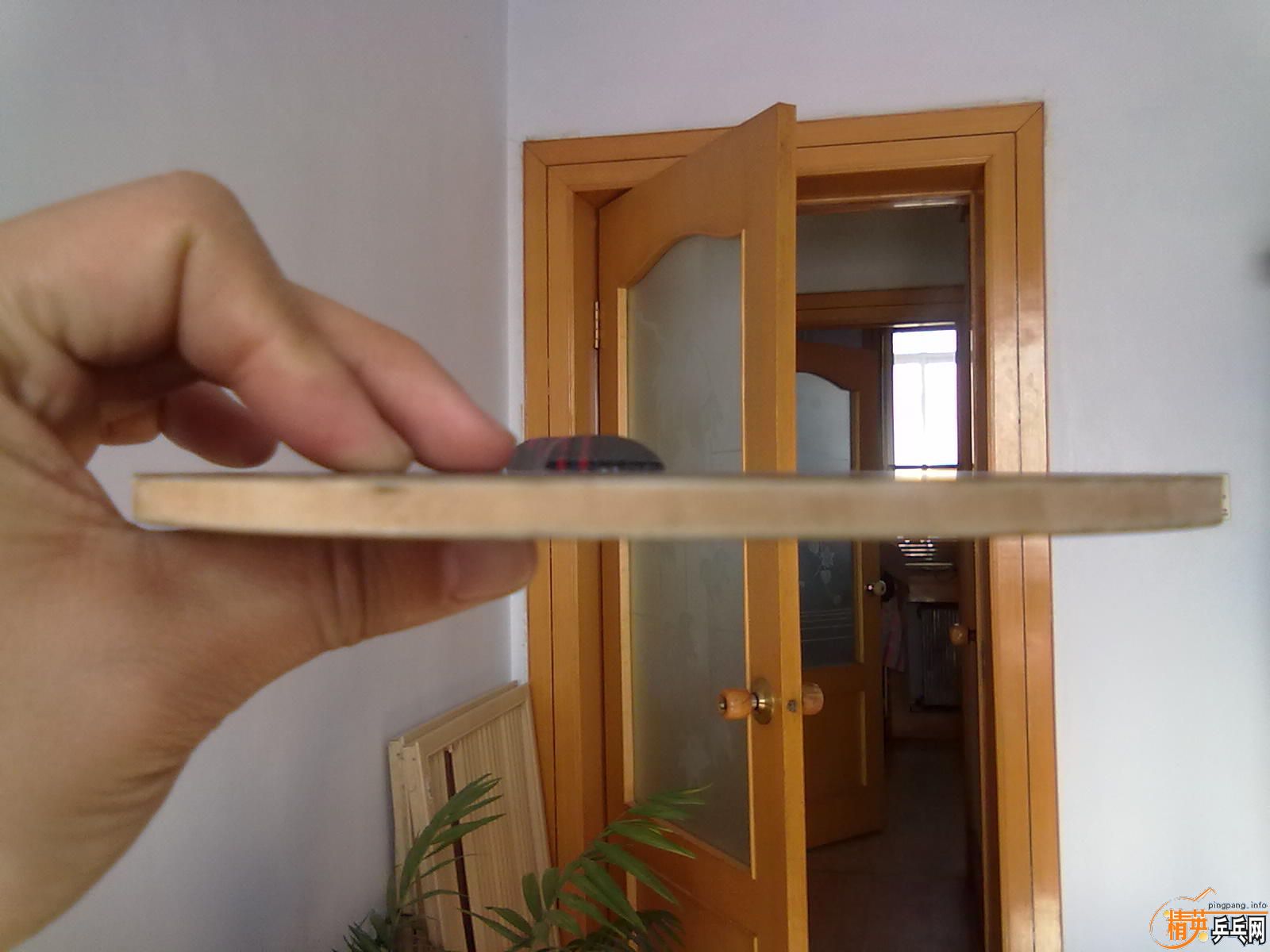 ������OC��