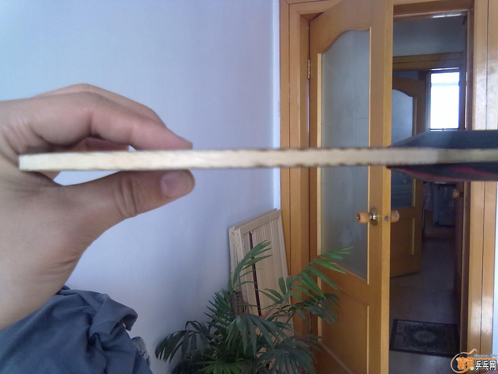 ������OC��