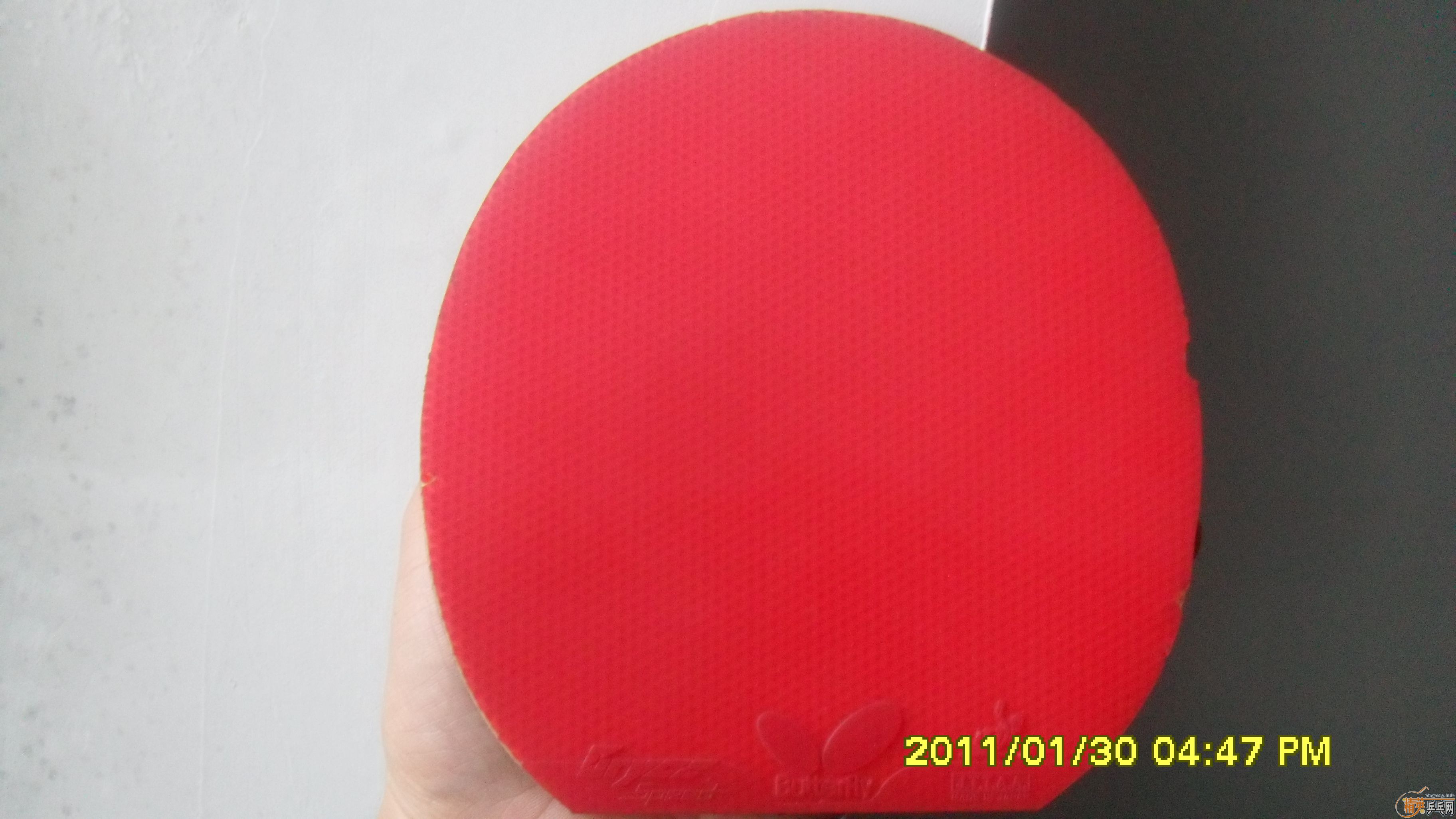 ���� ���SPEED �����FDһ�� û����ϲ������̸