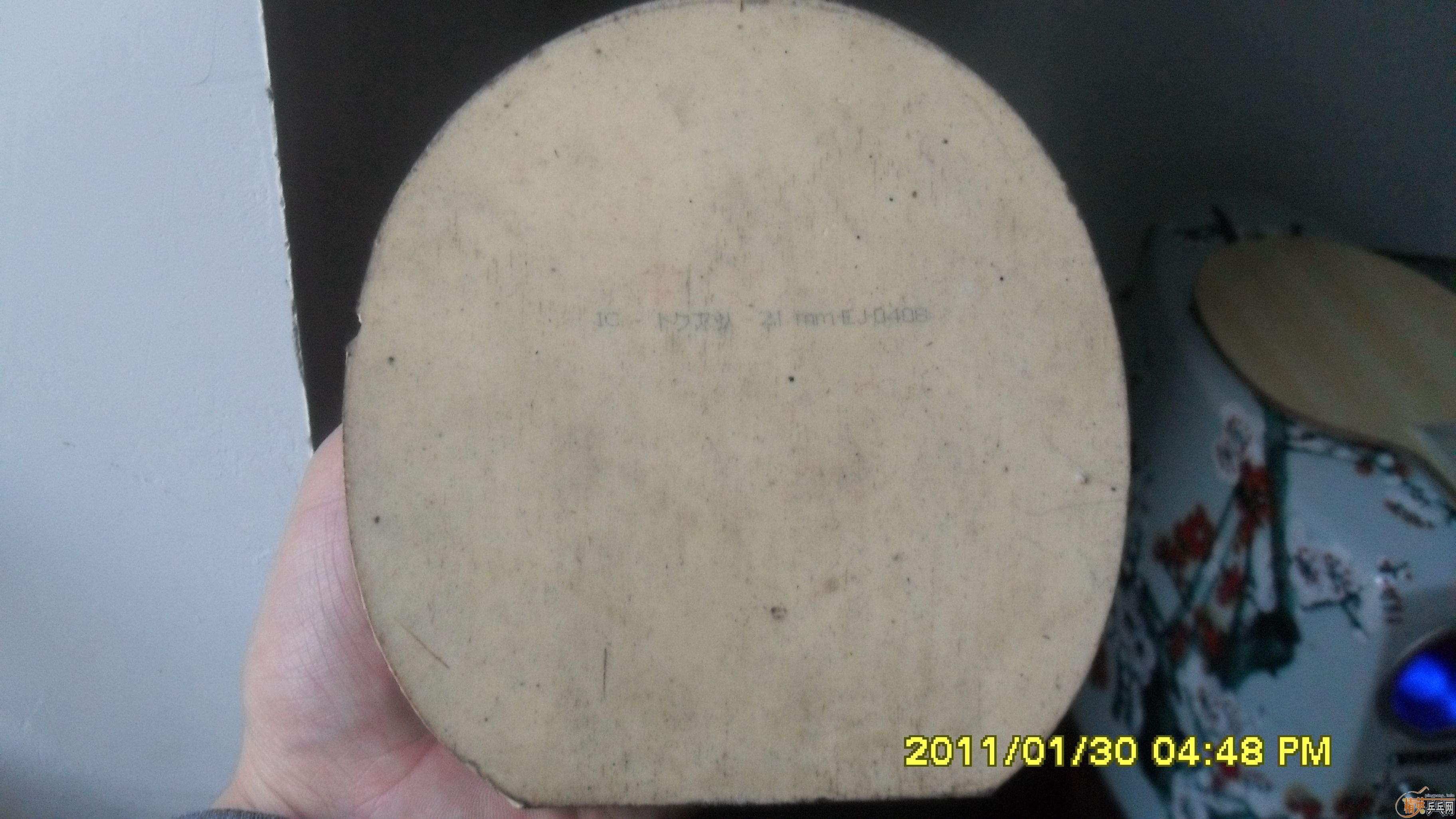 ���� ���SPEED �����FDһ�� û����ϲ������̸