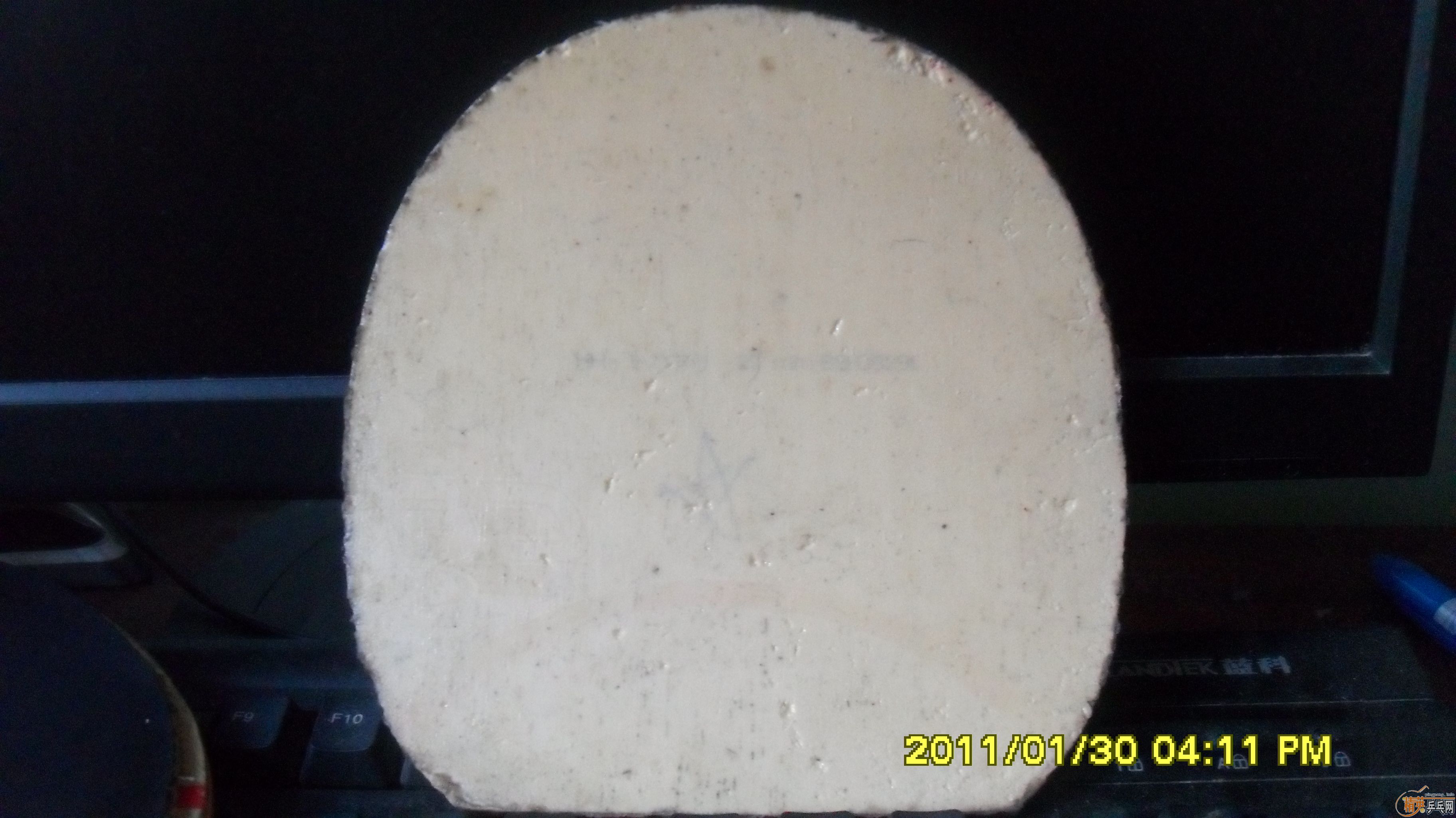 ���� ���SPEED �����FDһ�� û����ϲ������̸