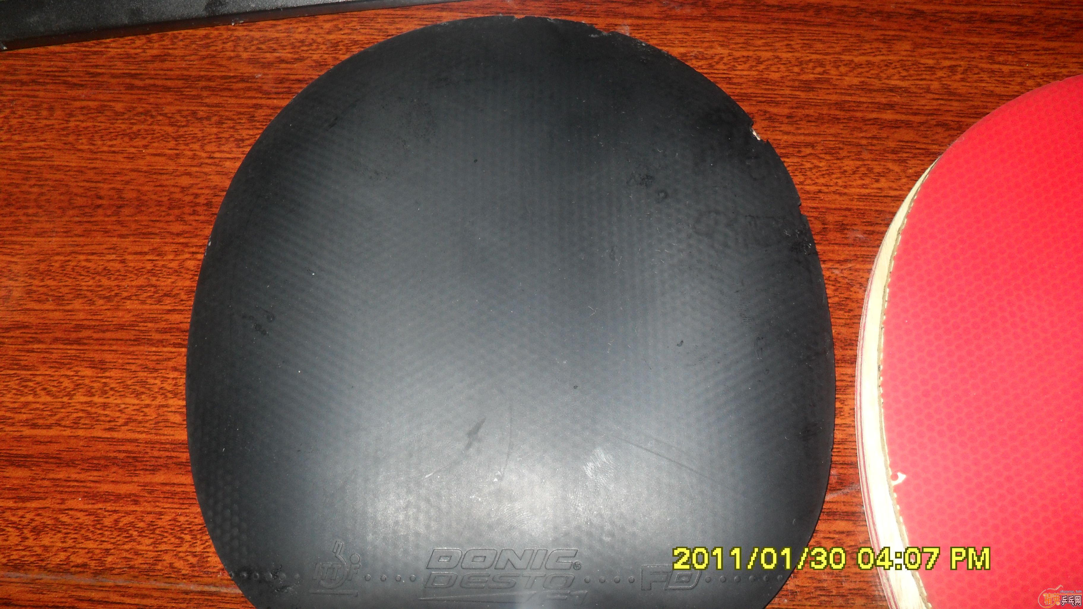 ���� ���SPEED �����FDһ�� û����ϲ������̸