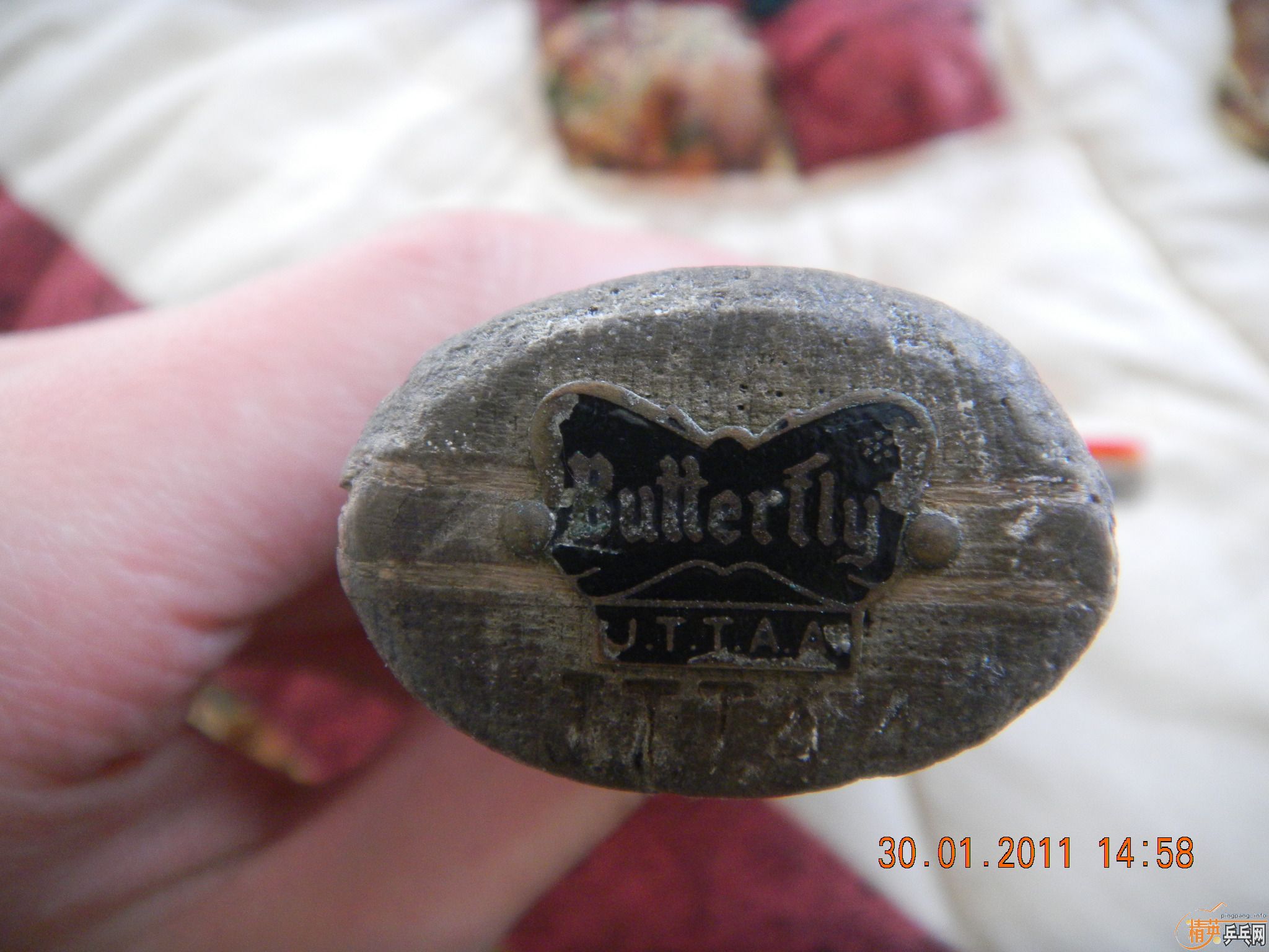 [����]�ء����ڡ���ζ���󡪡��������ۣ�