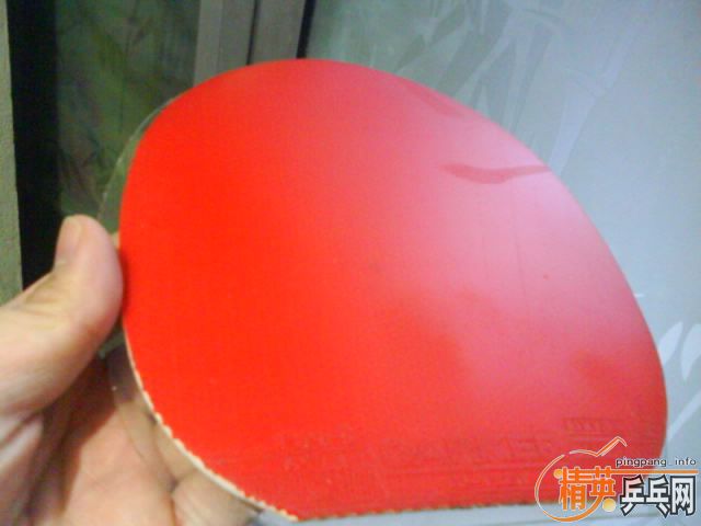 �����Ž�Ƥ��