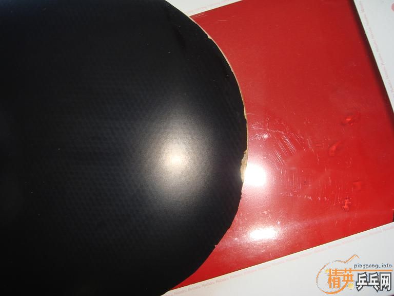 ����ѳ�һֻ��������3����������ԴX�۸�ֻ��550�����