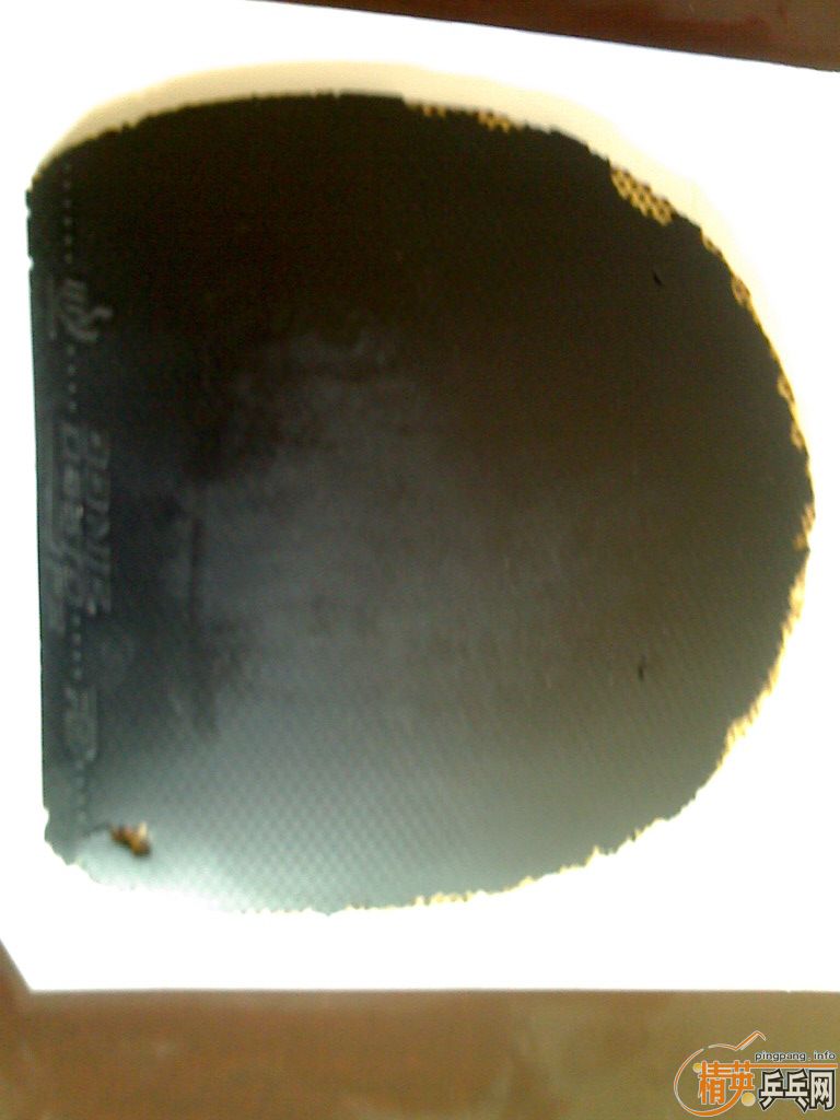 �����׽���˦����F1   F2   729-8ʡ  ���� ����VIP