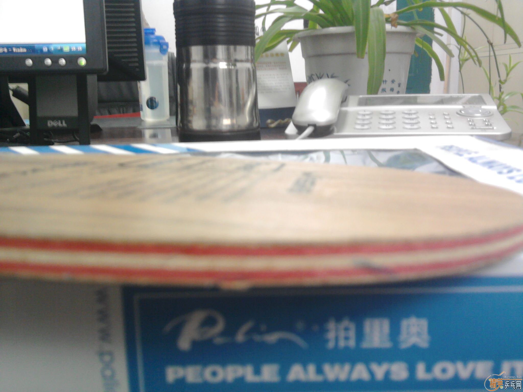 ��������YES��325���ʣ�������