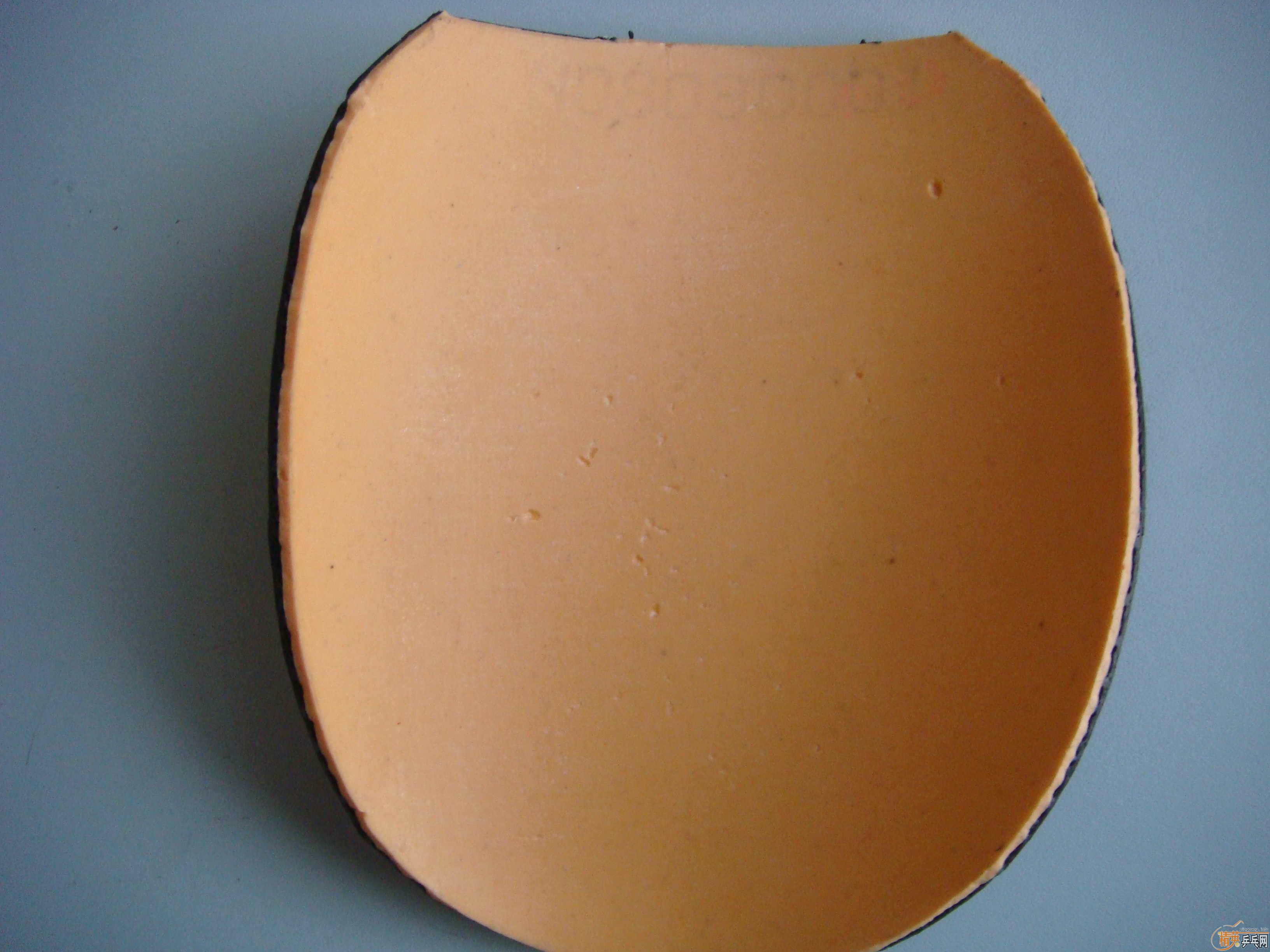 ����������������ó�װ�VIS 90�� FL��