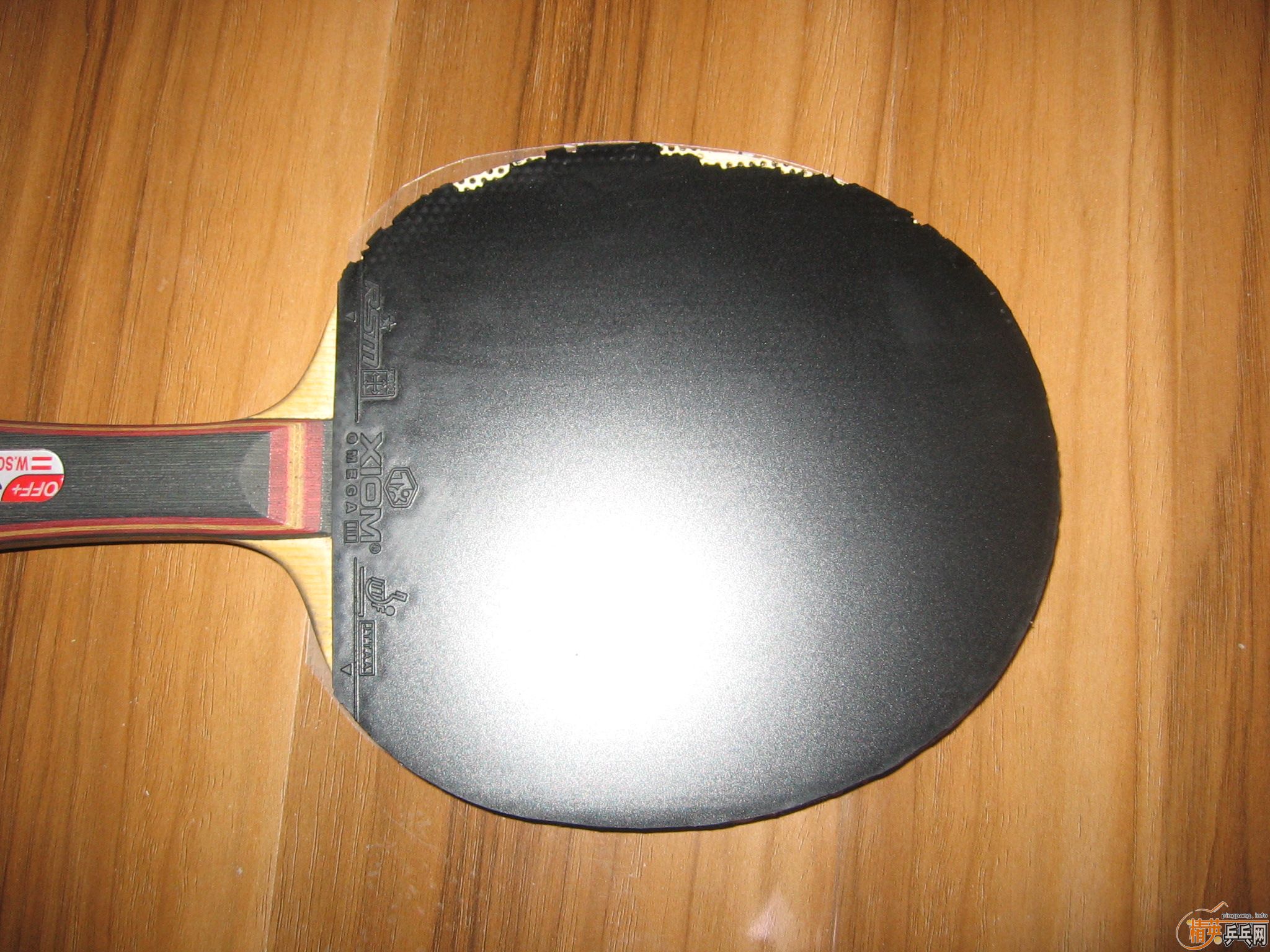 XIOM OMEGA II   ŷ����2