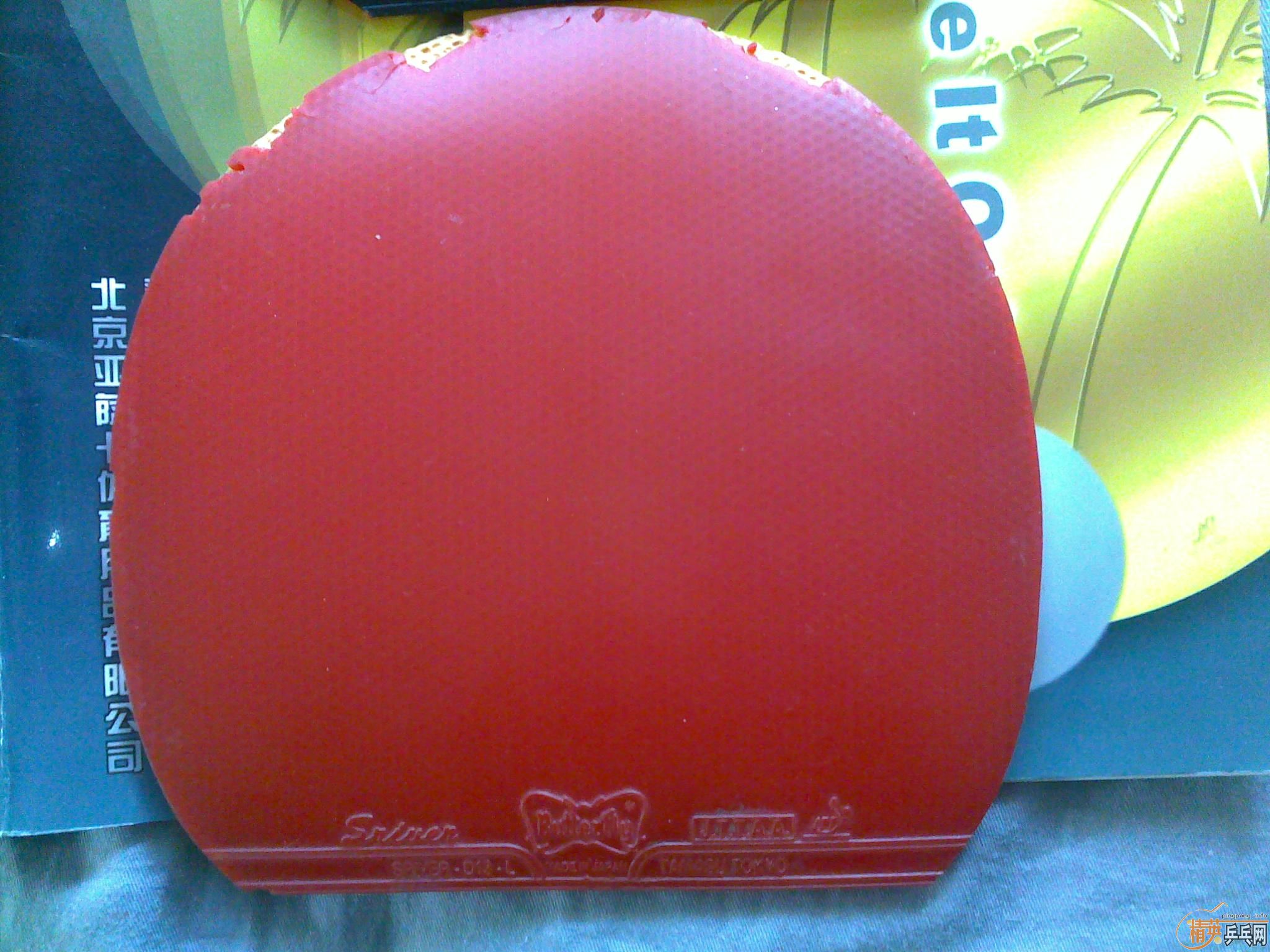 ��ǰ��֣�������Ķ�����˦˦ �װ��׽�һ�� ��Ҫ����