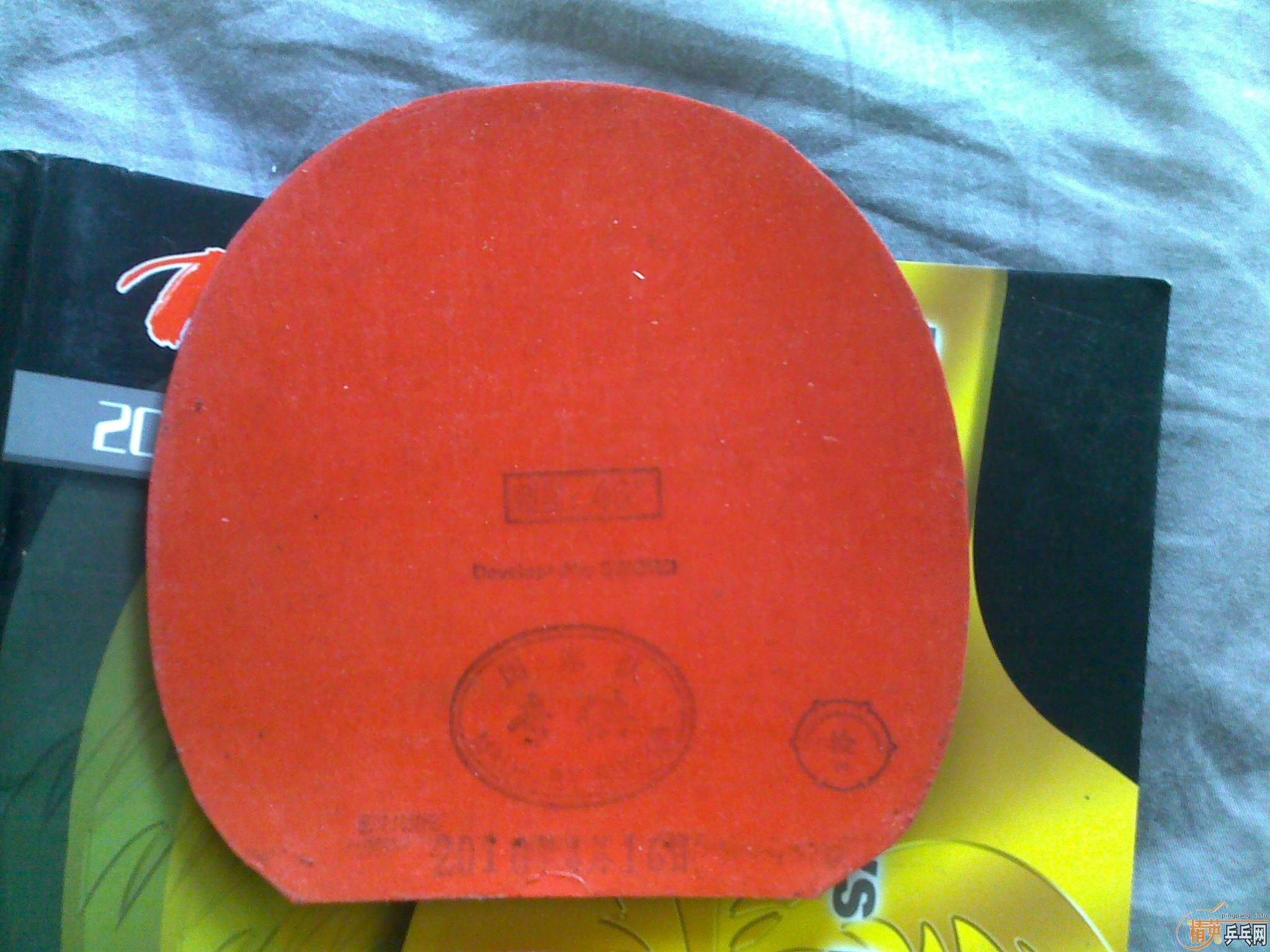 ��ǰ��֣�������Ķ�����˦˦ �װ��׽�һ�� ��Ҫ����