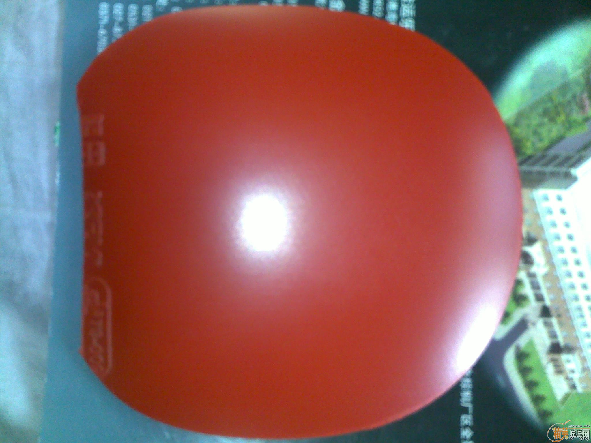 ��ǰ��֣�������Ķ�����˦˦ �װ��׽�һ�� ��Ҫ����