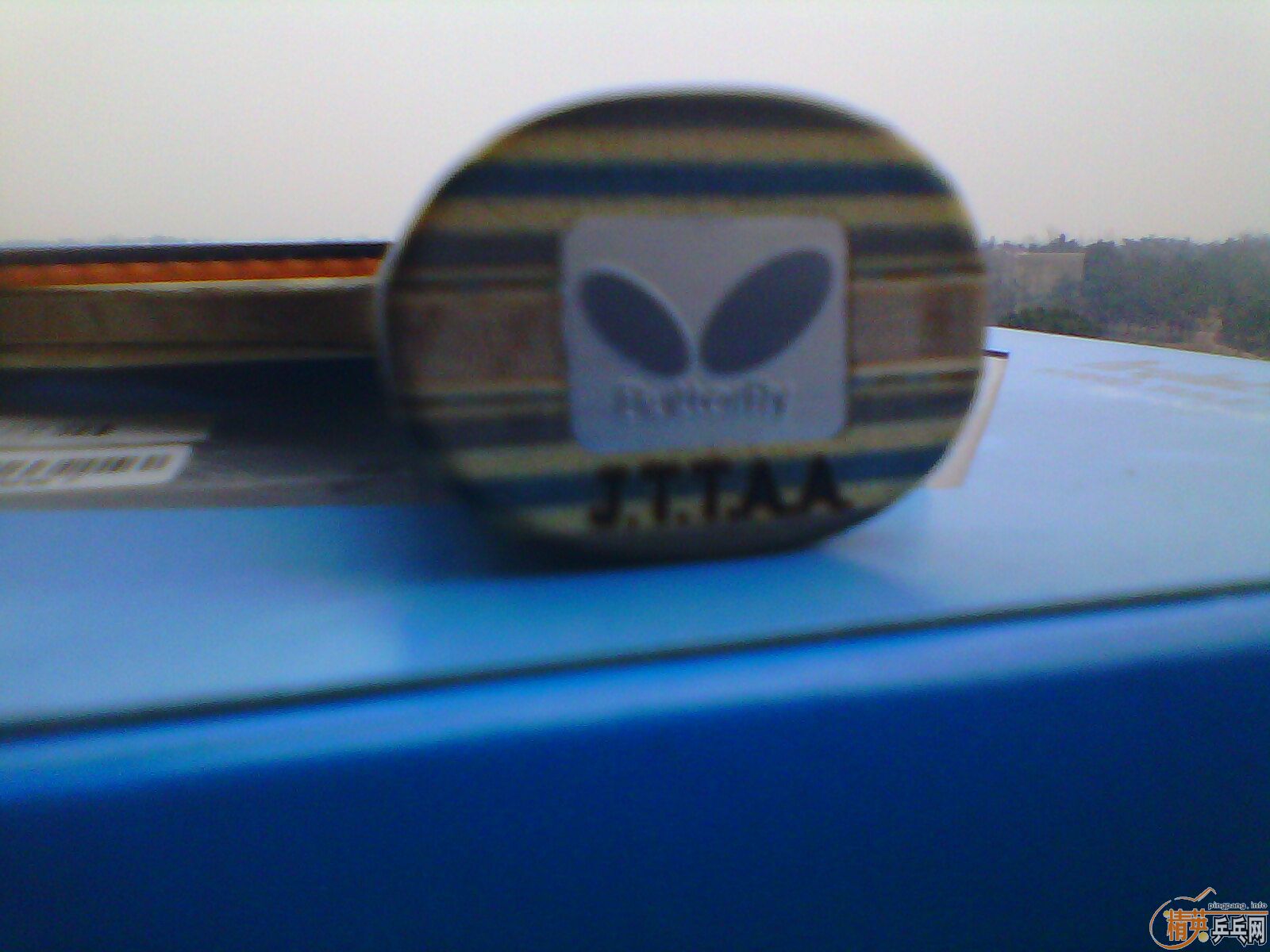 98�º�����