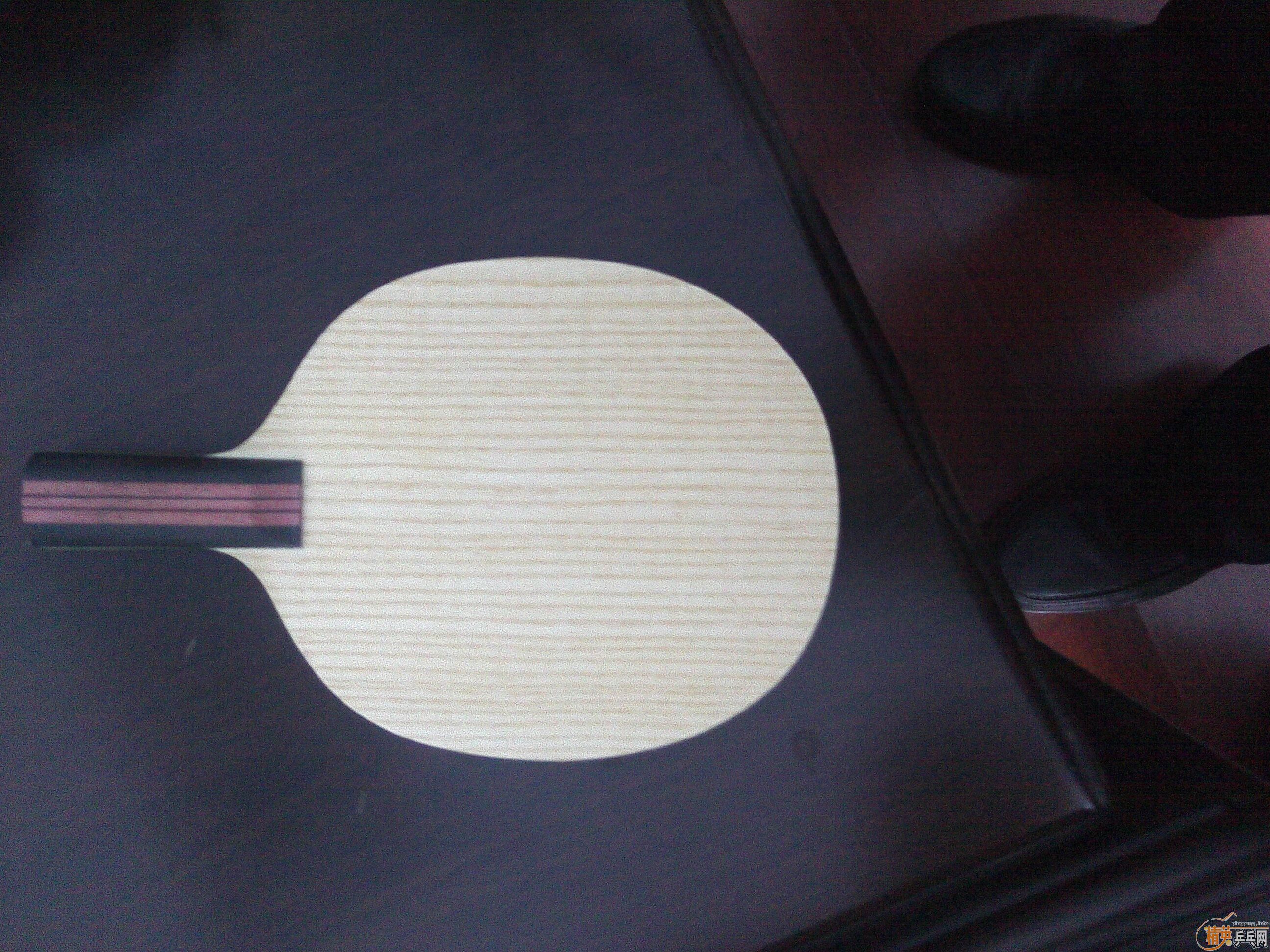 ����С���� 600Ԫ