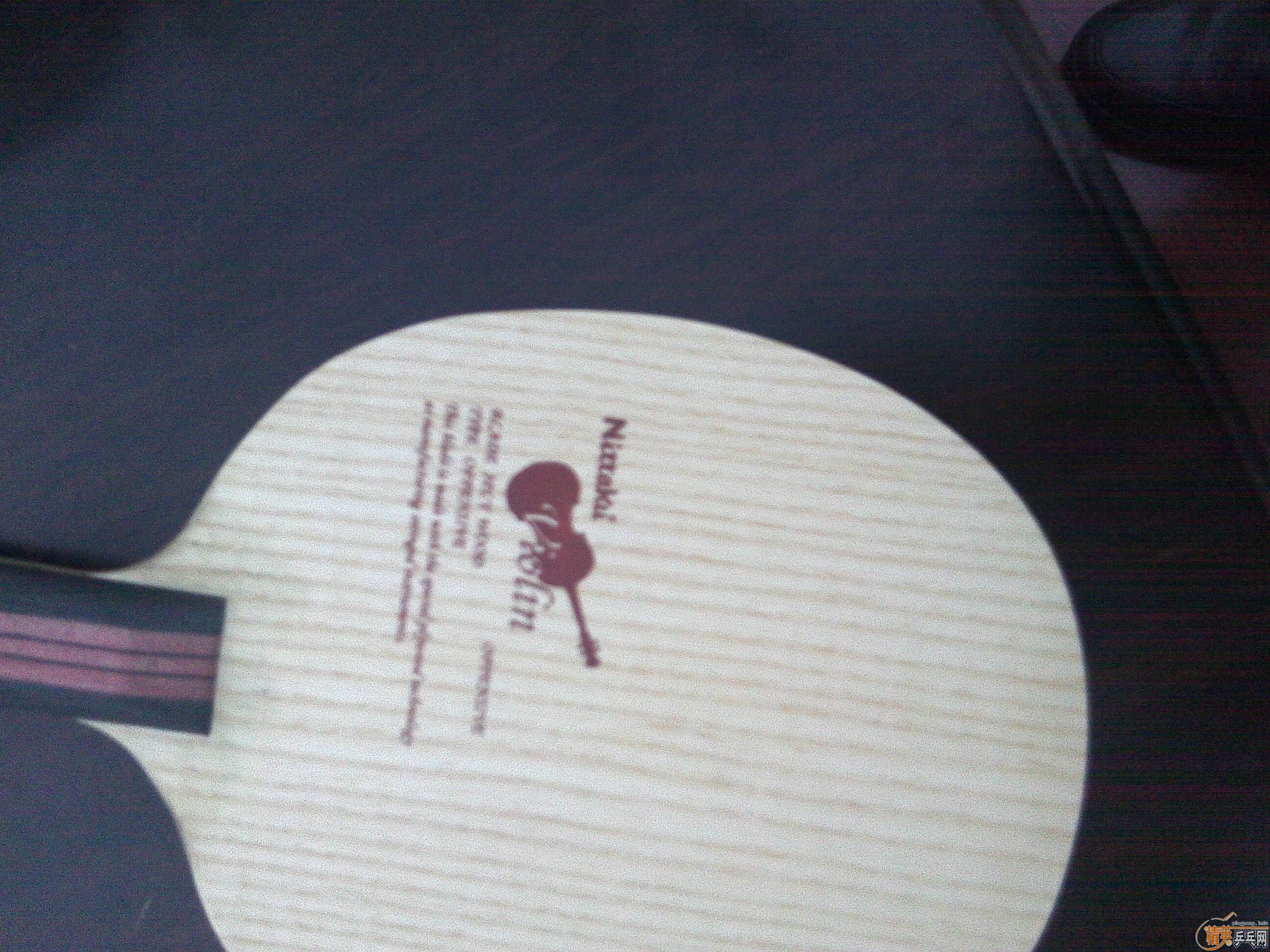 ����С���� 600Ԫ