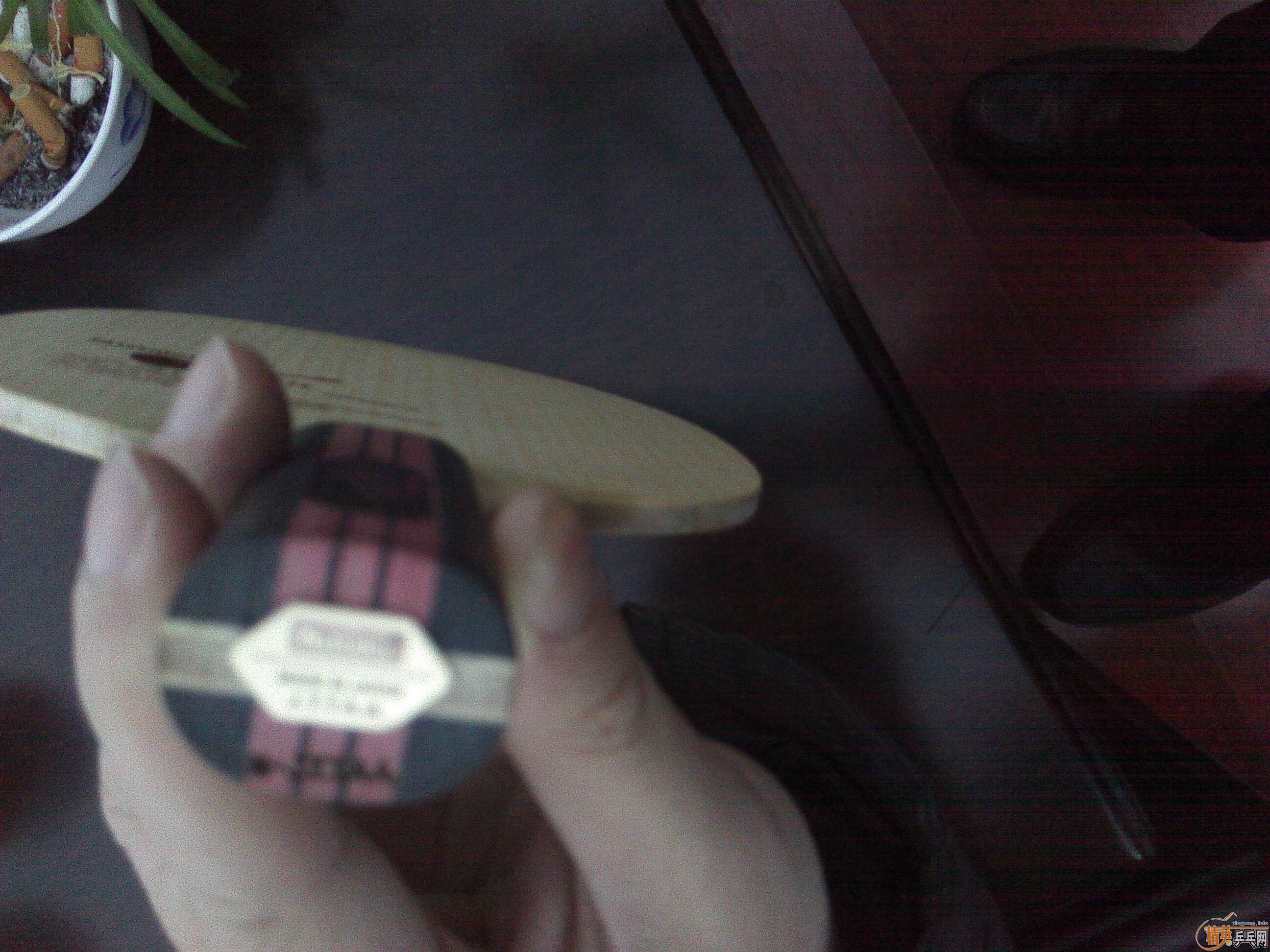 ����С���� 600Ԫ