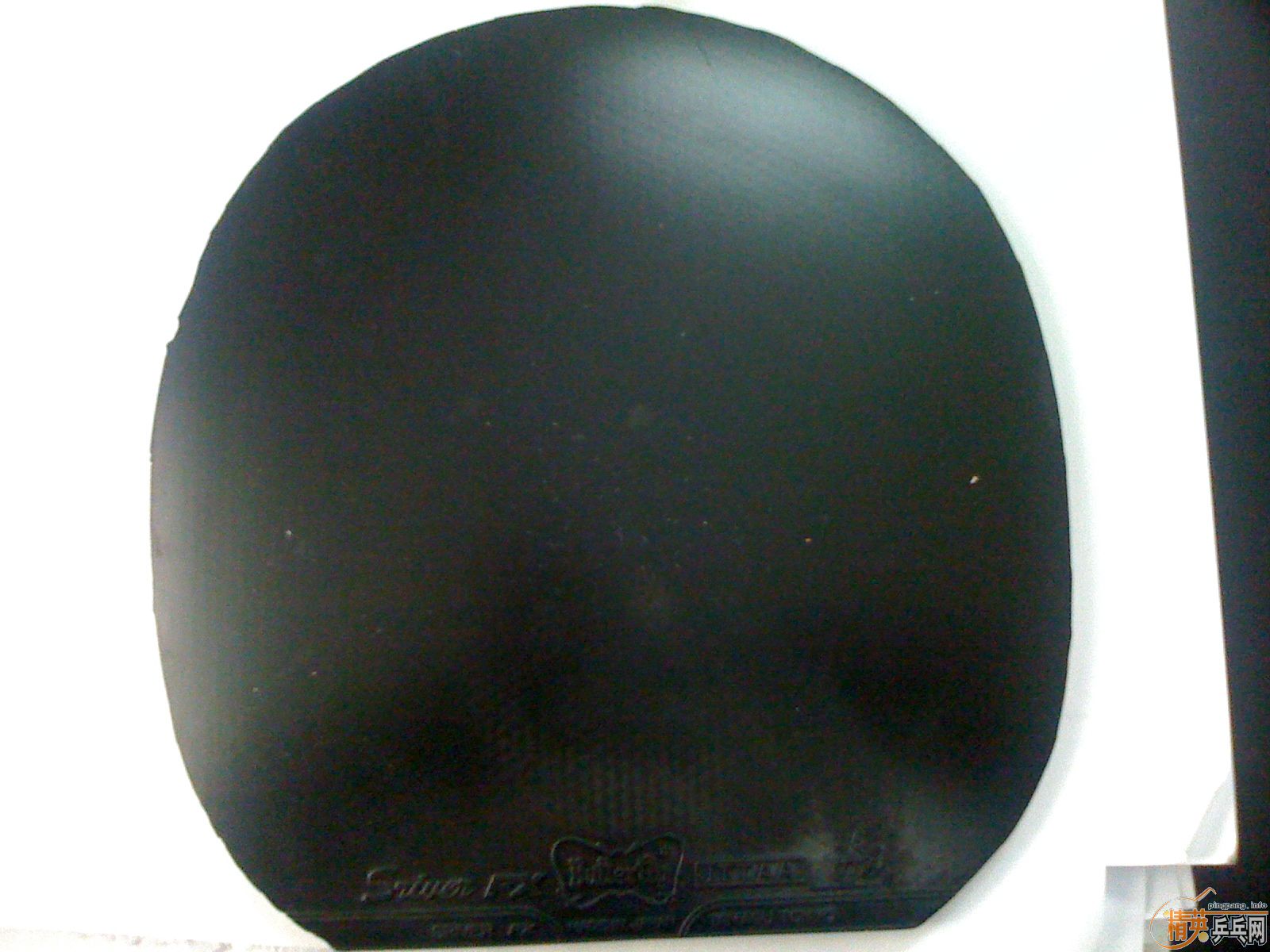 FX�׽�����