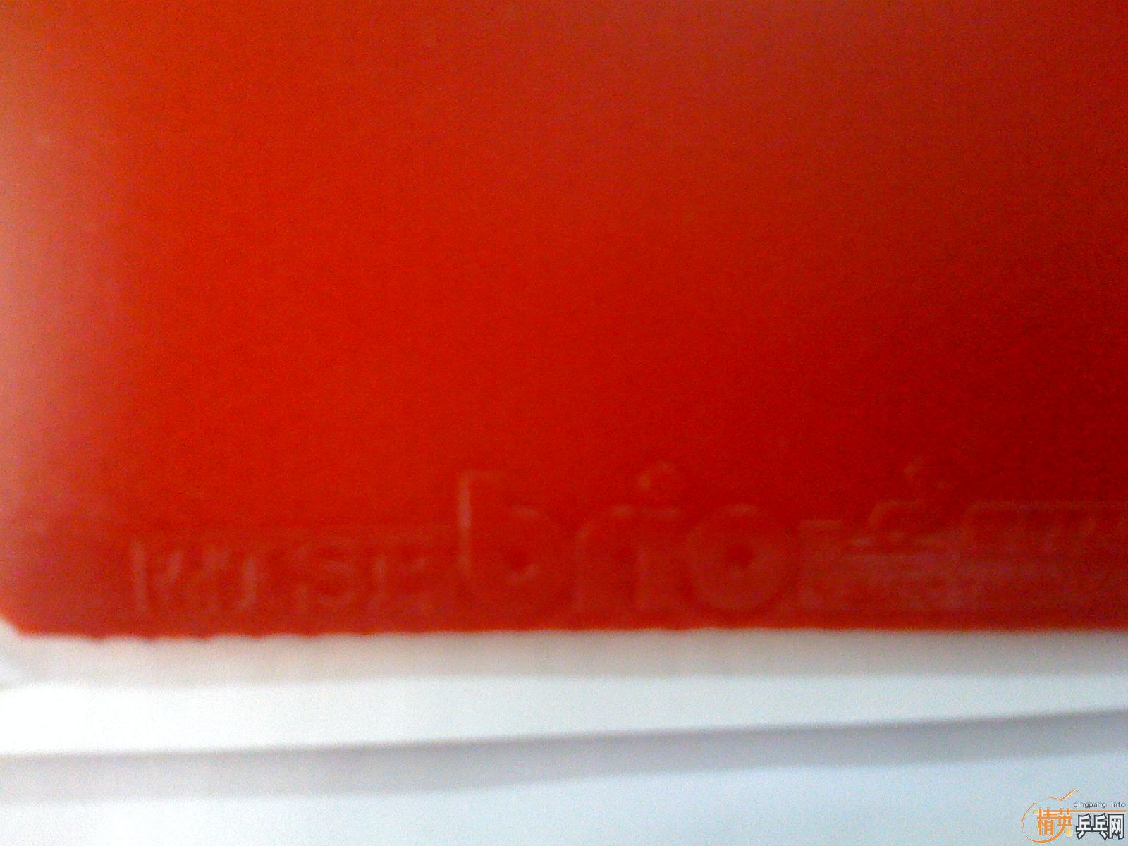 FX�׽�����