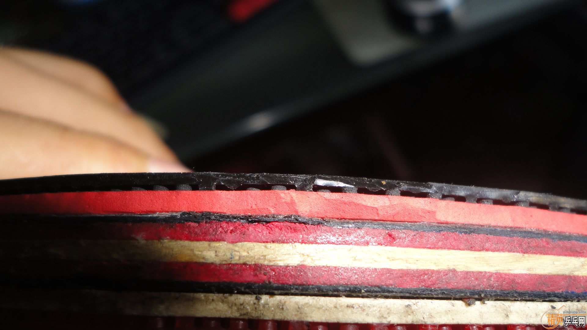 ��ŷ����7.6��260�����Ϳ��տ�ڲ���