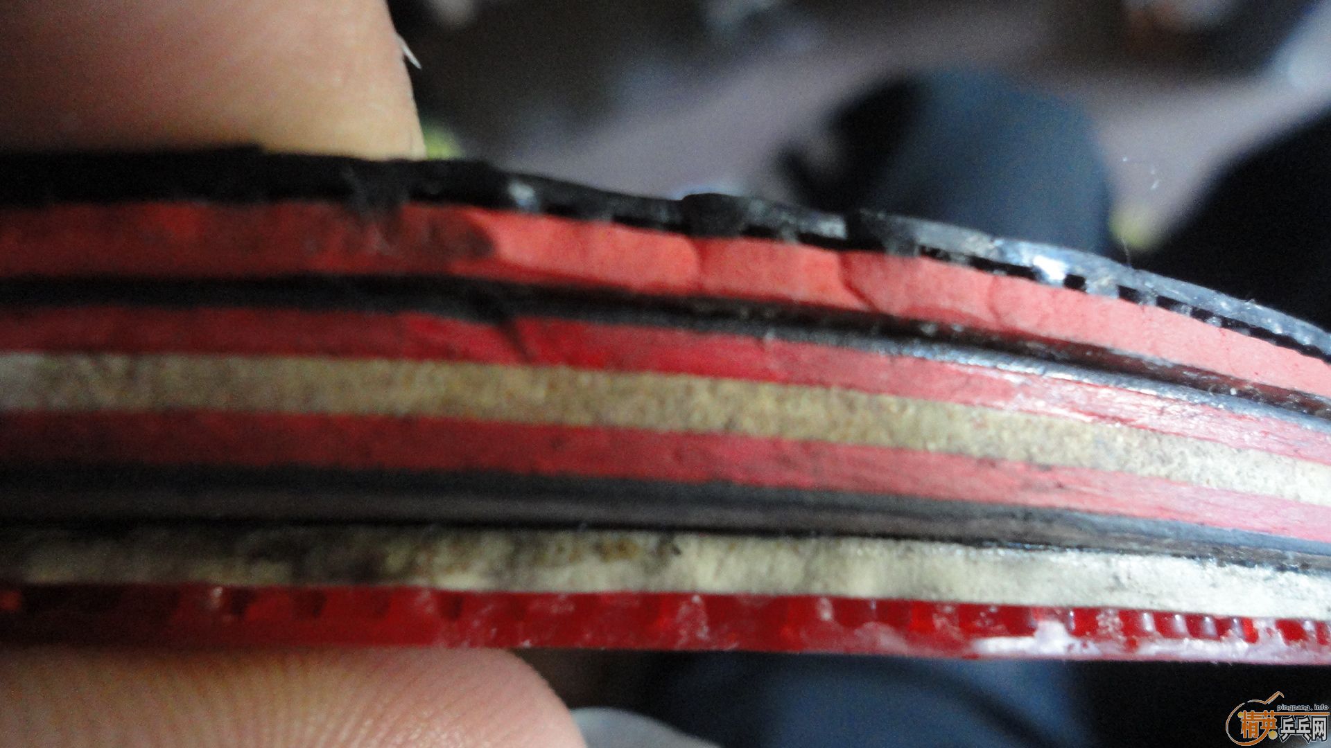 ��ŷ����7.6��260�����Ϳ��տ�ڲ���