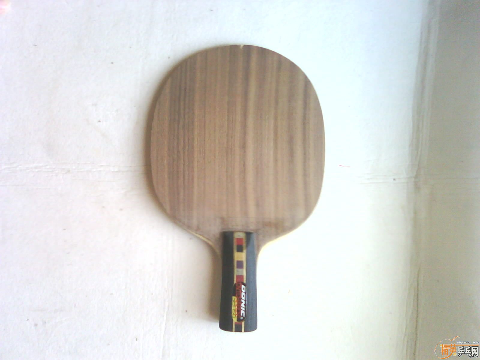 200������һ���µİ�Ǣ  Ʒ��� ��Ȧ��