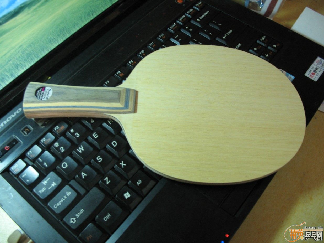 ����VIS FL����580��˳�硡֧��֧����