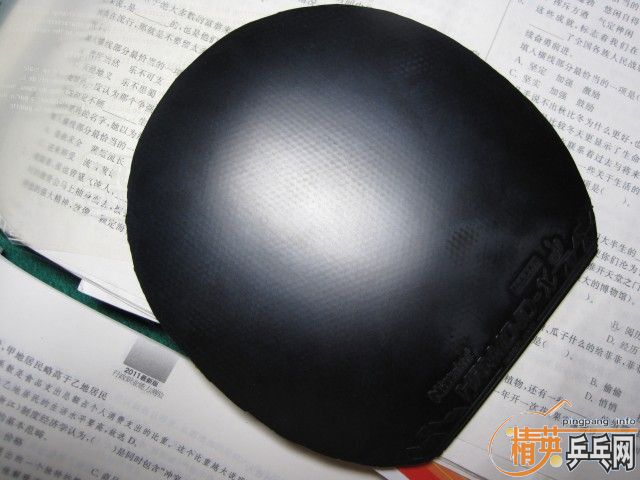 ֧������һ����stiga������������X����ɫ���������а��涼������