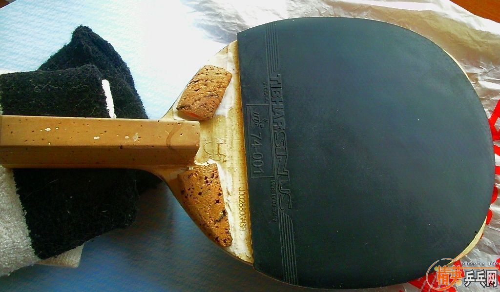 [ԭ��]��ע�䱡SINUS��ˬ