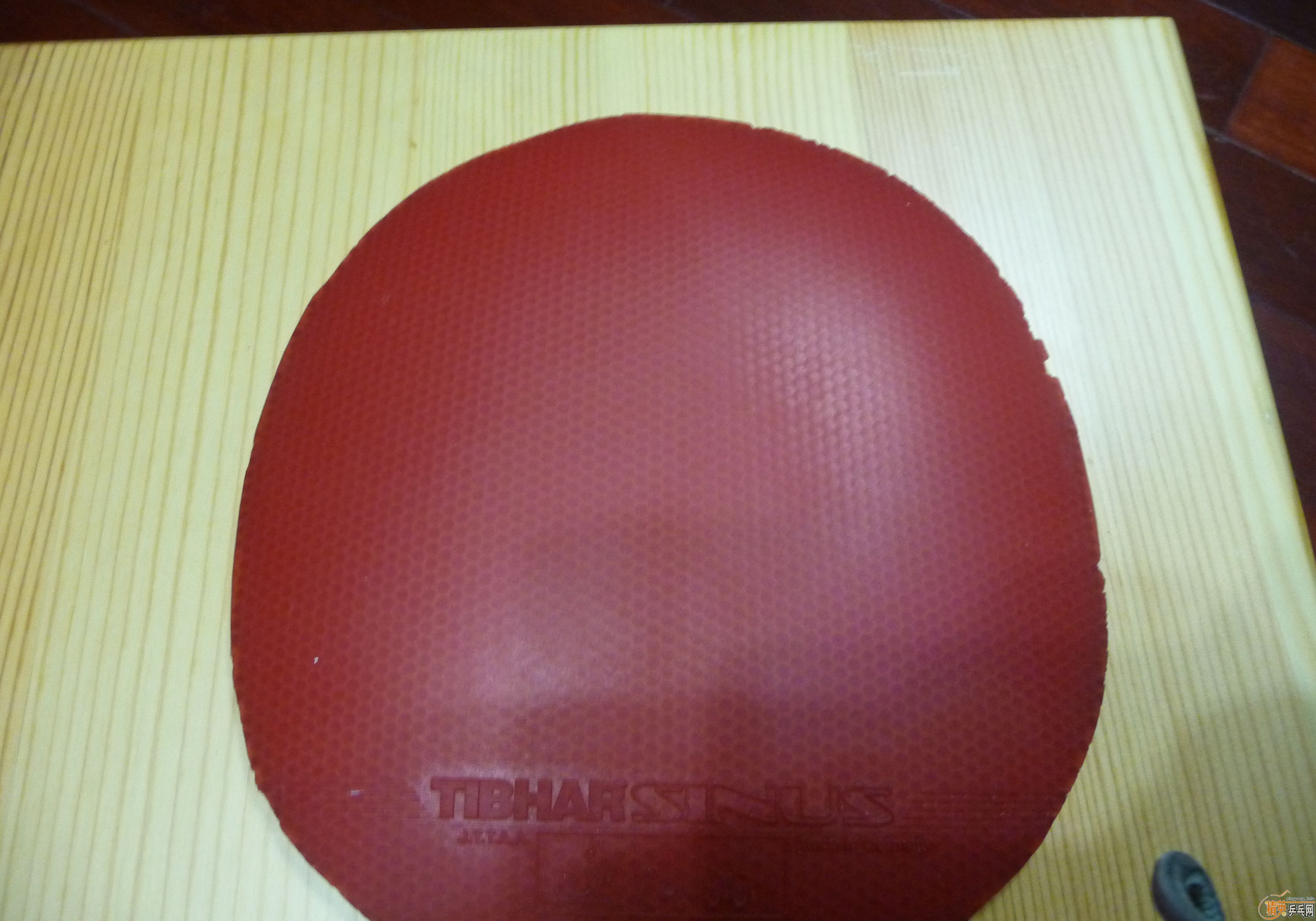 ��ŷ��YO40��AN����190Ԫ+Donic Baracuda 80Ԫ+sinus alpha 120Ԫ