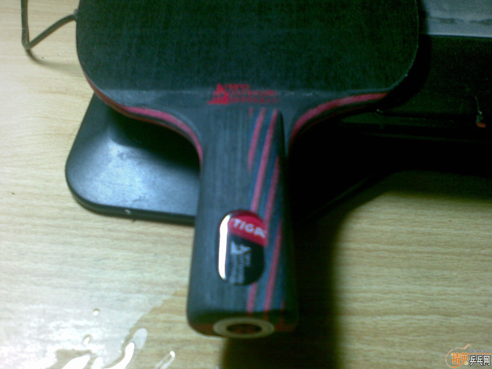 ��9�������µ� ˹�ٿ�����̼��