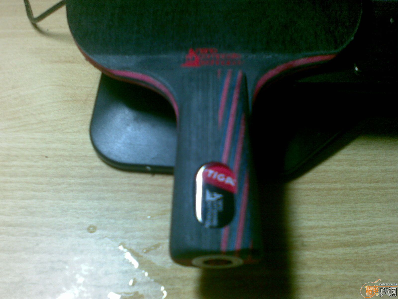 ��9�������µ� ˹�ٿ�����̼��