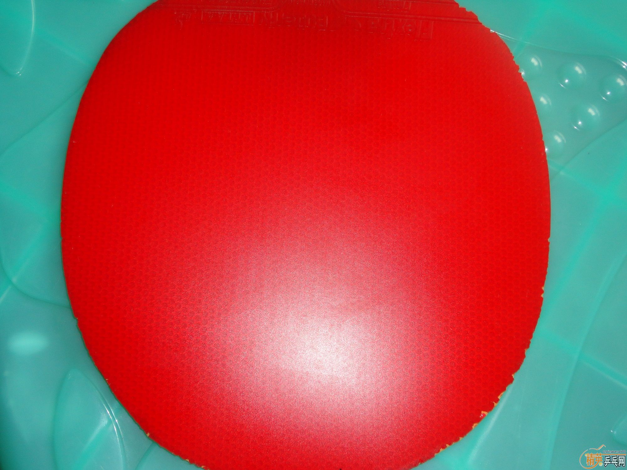 ���ۺ�����գ��޴��ˣ��޿���������1����