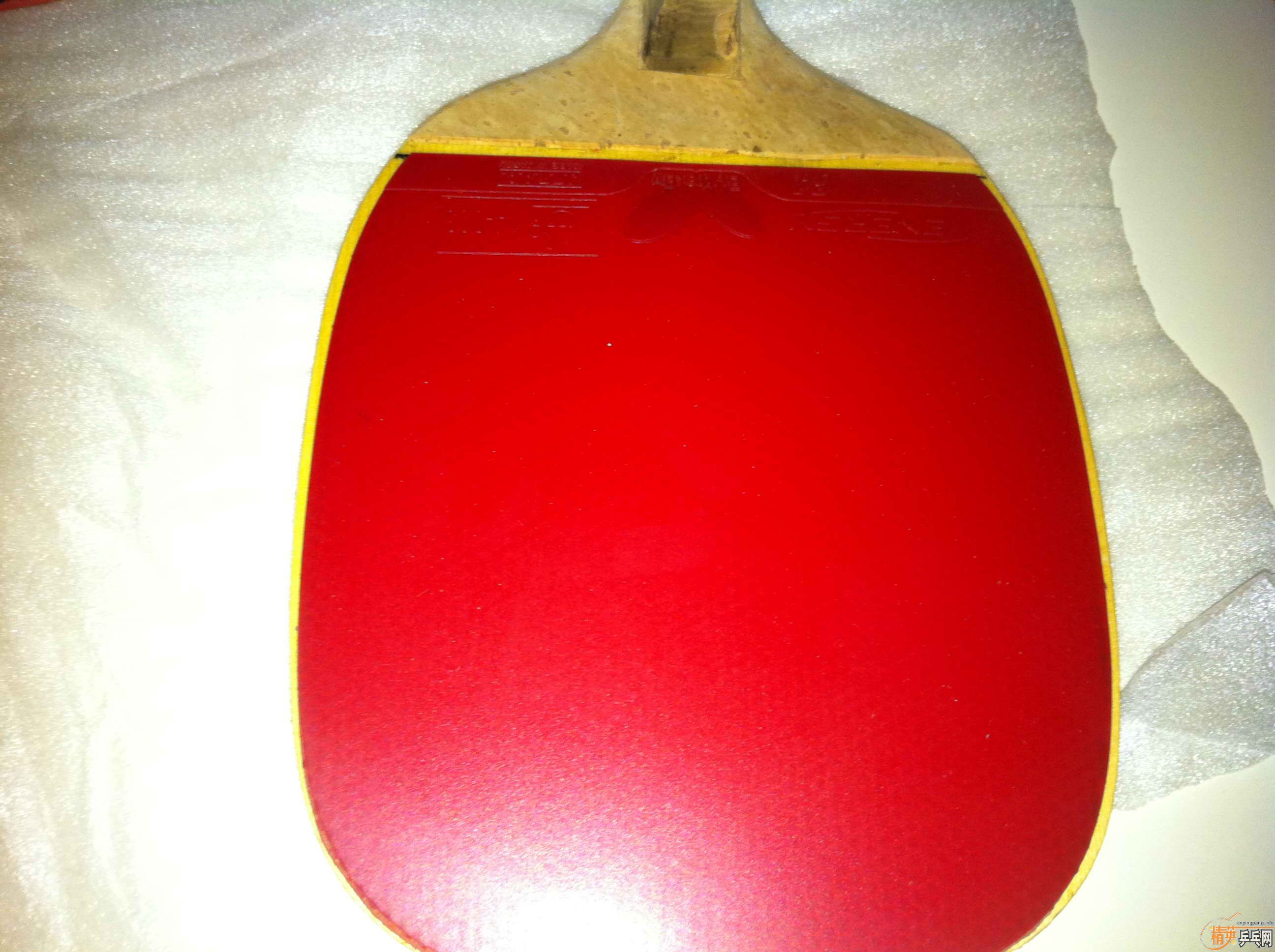 ӭ죬ٳͻؿζע׽һӽµ10MM CYPRESSTAIWANó׺
