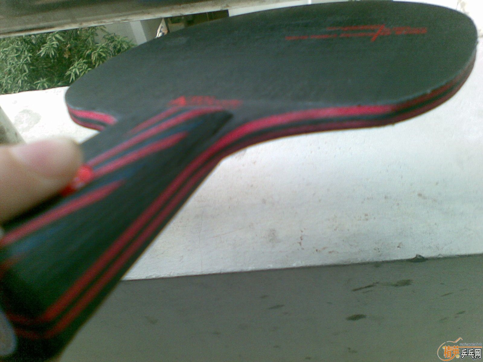 �������˹�ٿ�����̼��